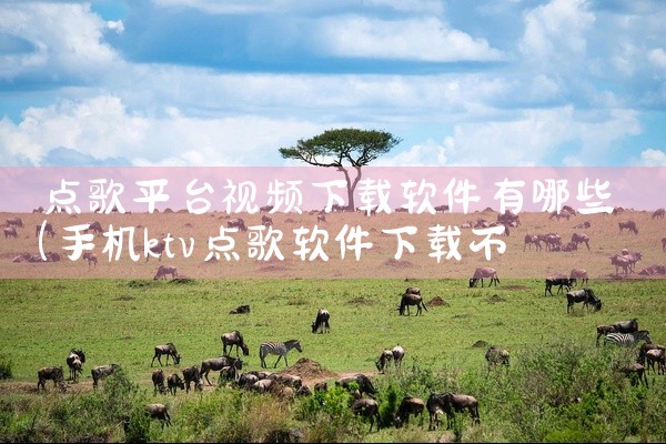 点歌平台视频下载软件有哪些