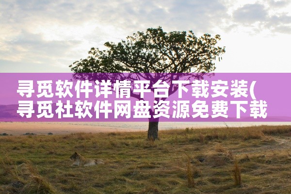 寻觅软件详情平台下载安装