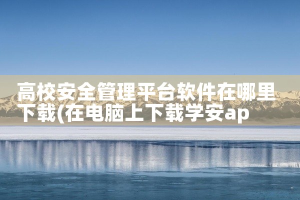 高校安全管理平台软件在哪里下载