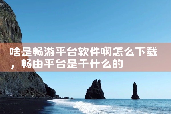 啥是畅游平台软件啊怎么下载