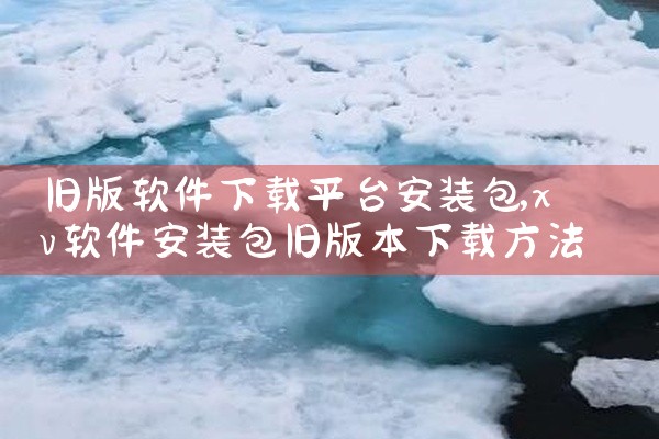 旧版软件下载平台安装包