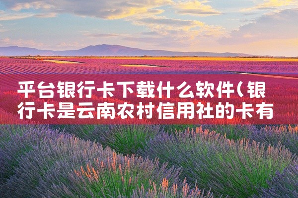 平台银行卡下载什么软件